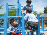 img0010.jpg