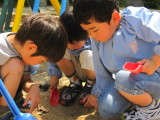 img0014.jpg