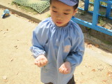 img0017.jpg