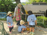 img0020.jpg