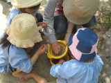 img0023.jpg