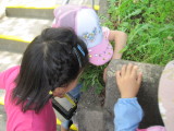 img0033.jpg