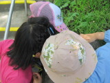 img0034.jpg