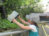 img0038.jpg