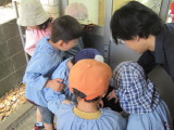 img0039.jpg