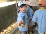 img0041.jpg