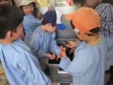 img0042.jpg