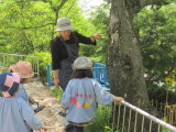 img0046.jpg