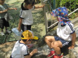img0055.jpg
