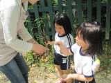 img0059.jpg