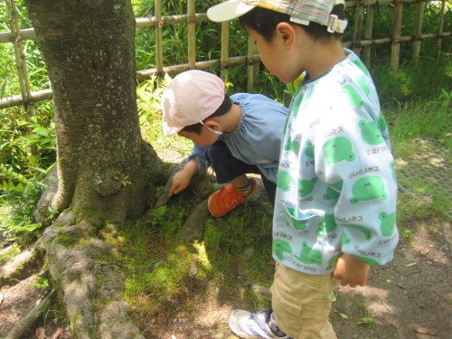 img0025.jpg