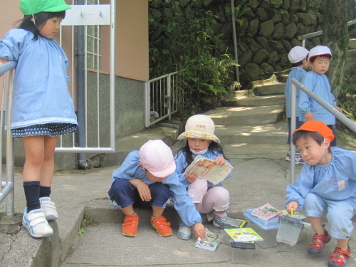 img0040.jpg