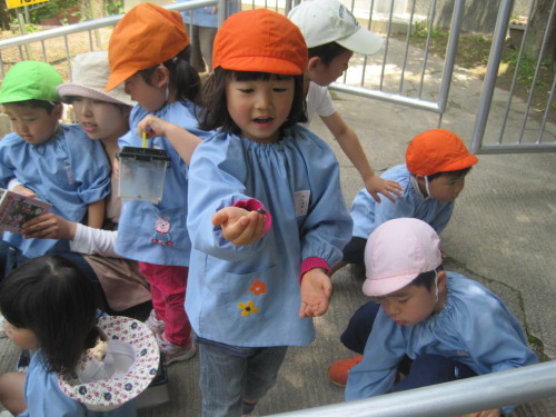img0043.jpg