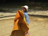img0010.jpg