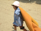 img0011.jpg