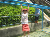 img0019.jpg