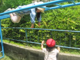 img0020.jpg