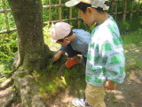 img0025.jpg