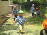 img0030.jpg