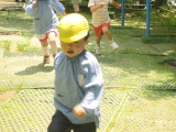 img0031.jpg