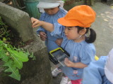 img0036.jpg