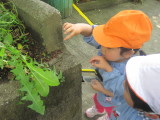 img0037.jpg