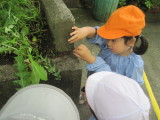 img0038.jpg