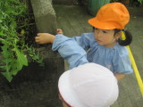 img0039.jpg