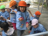 img0043.jpg