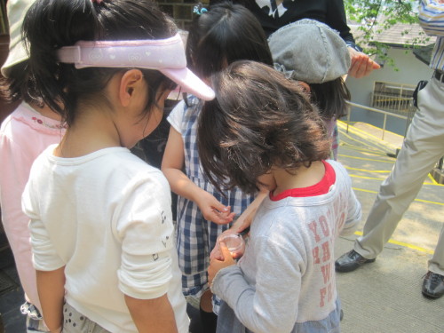 img0030.jpg