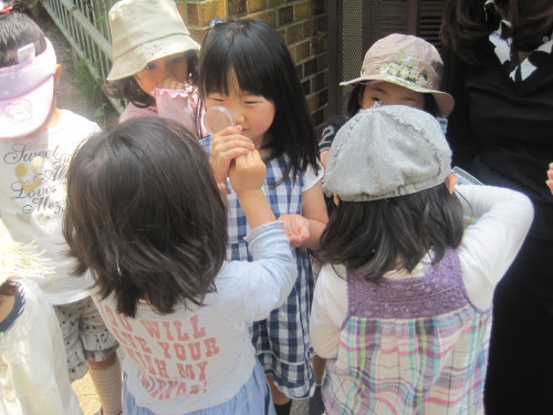 img0031.jpg