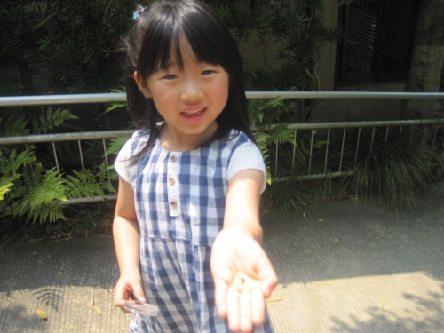 img0032.jpg