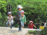 img0027.jpg