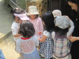 img0029.jpg