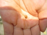 img0033.jpg