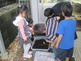 img0038.jpg