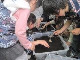 img0039.jpg