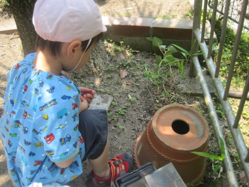 img0007.jpg