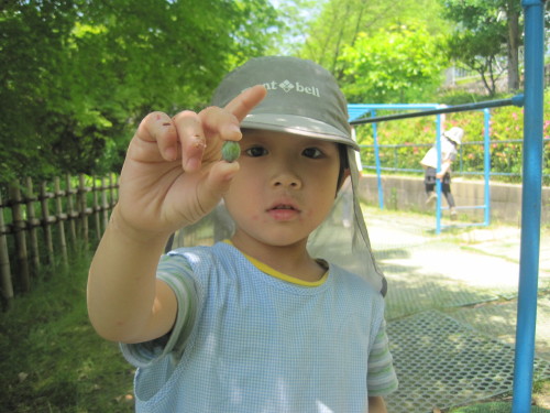 img0029.jpg