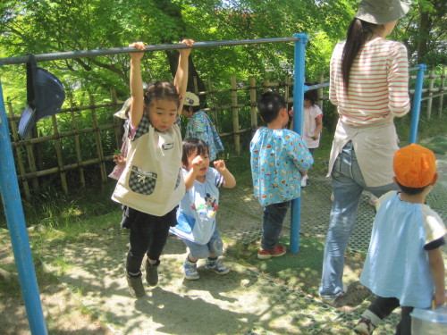 img0045.jpg