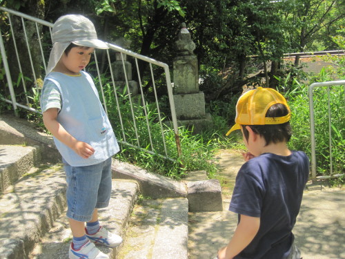 img0048.jpg
