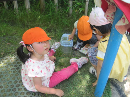 img0050.jpg