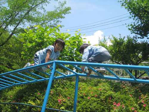 img0053.jpg