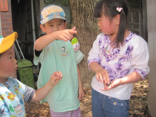 img0061.jpg