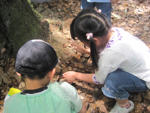 img0065.jpg