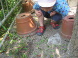 img0008.jpg