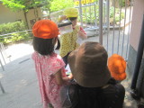 img0009.jpg