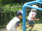 img0014.jpg