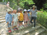 img0016.jpg