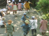 img0019.jpg